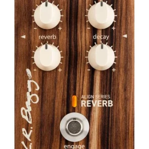 Bon Marché Lr baggs Align Reverb