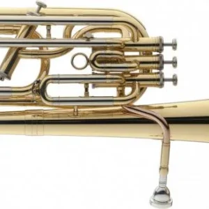 Promotion Saisonnière Levante BH5415