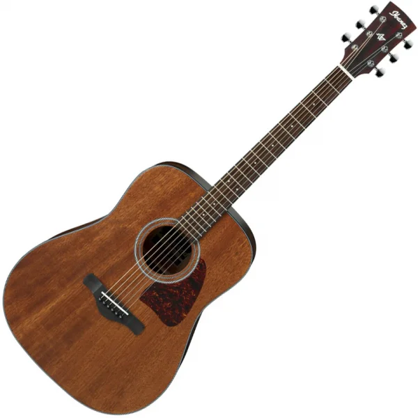 Ibanez AW54 OPN Artwood - open pore natural Produit De Marque