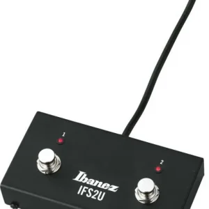 Vente Directe Ibanez IFS2U Troubadour T80N, T150S