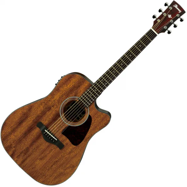 Nouvelle Collection Ibanez Artwood AW54CE OPN - open pore natural