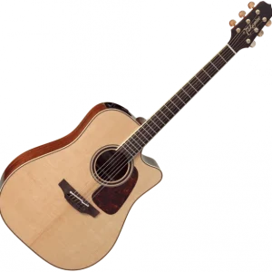 Nouvelle Collection Takamine P4DC Pro Japan - natural gloss