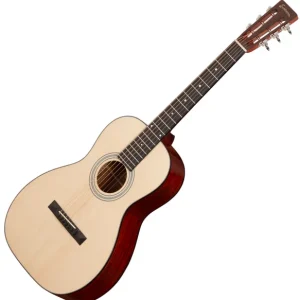 Bon Plan Eastman E10P Parlor - natural gloss