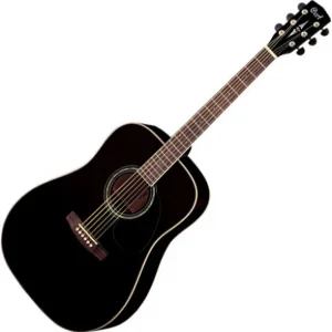 Cort Earth100 - black glossy Must-Have