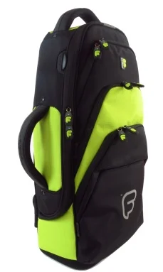 Acheter Direct Fusion PW01 Lime pour saxophone alto