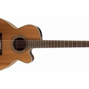 Takamine GN20CE-NS - natural satin Bon Marché