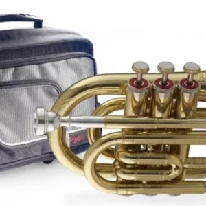 Stagg 77MTRDSC Expédition Rapide