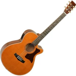 Affaire À Saisir Tanglewood TW45 H E Heritage