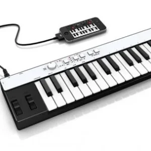 Remise Ik multimedia Irig Keys