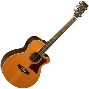 Expédié Aujourd'hui Tanglewood TW45 NS E Sundance - natural satin
