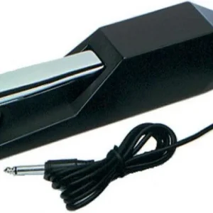Korg DS1H Vente Flash