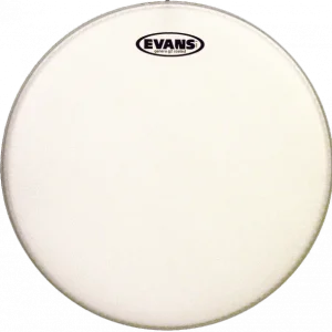 Evans B18G2 Genera G2 - 18 pouces Remise