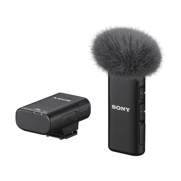Meilleure Vente Sony ECM-W2BT – Micro Bluetooth