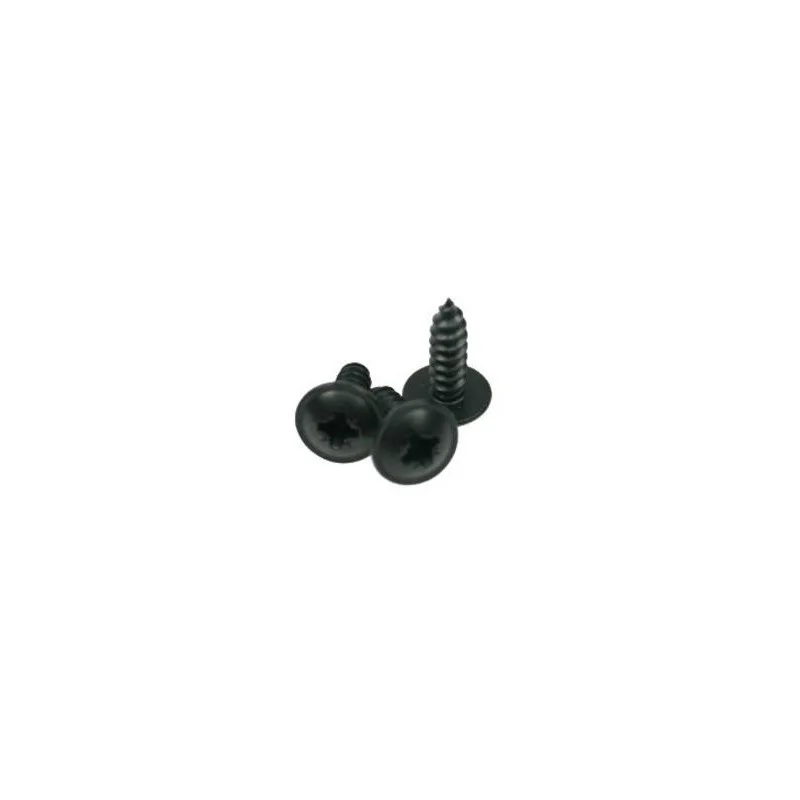 10 VIS 4 X 12 MM NOIRE (6080) Authentique