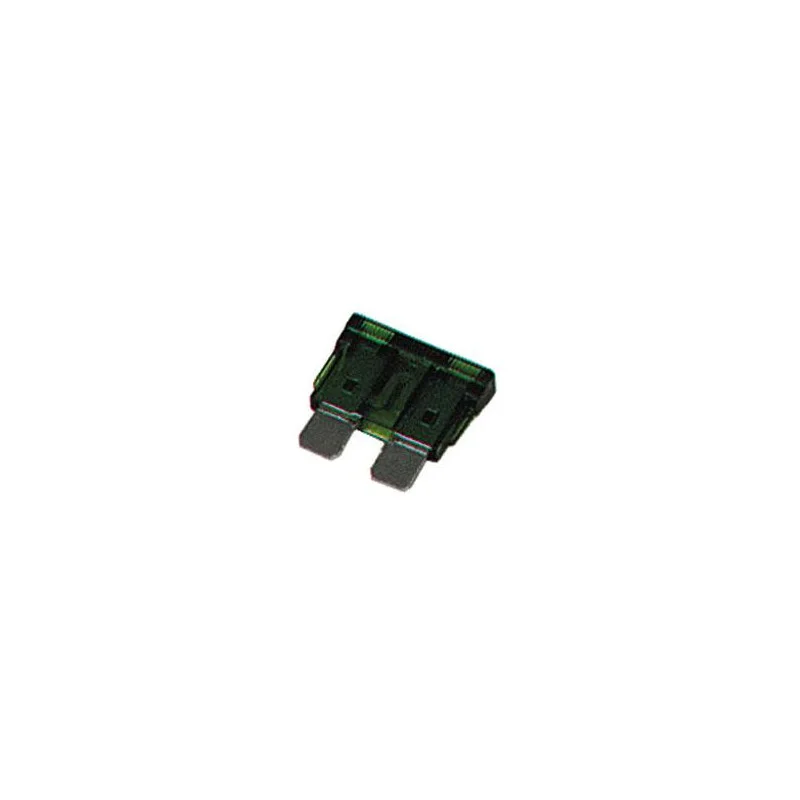 10 FUSIBLES AUTOMOBILE 30A (6080) Commande En Gros