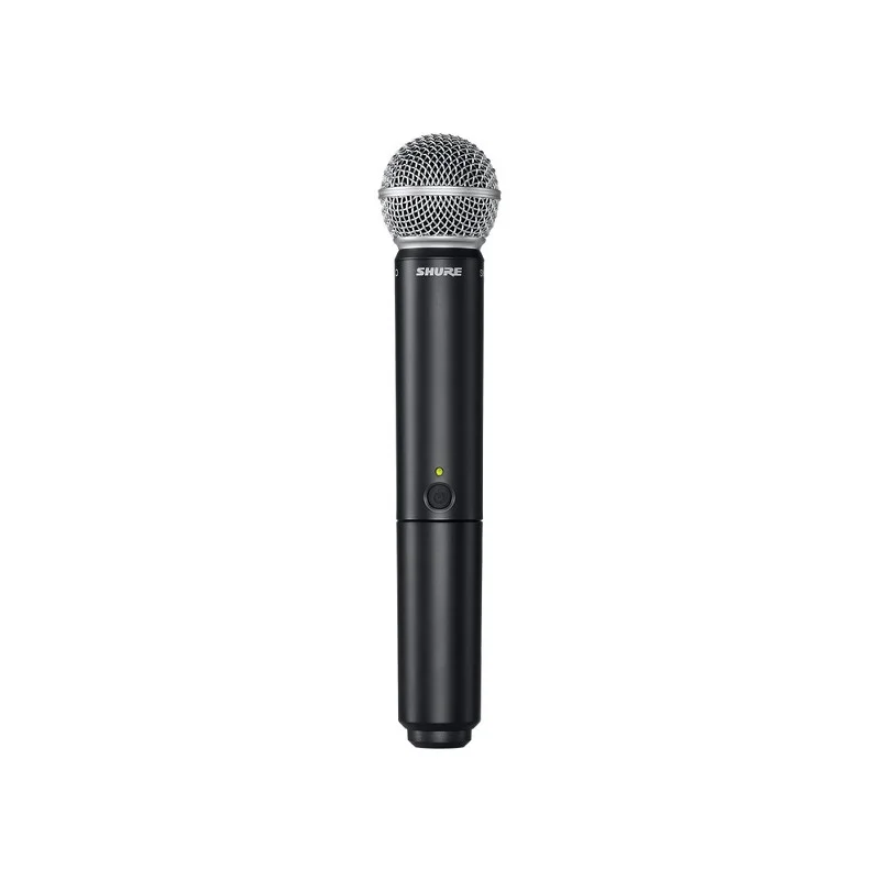SHURE - BLX2/SM58 M17 Affaire À Saisir