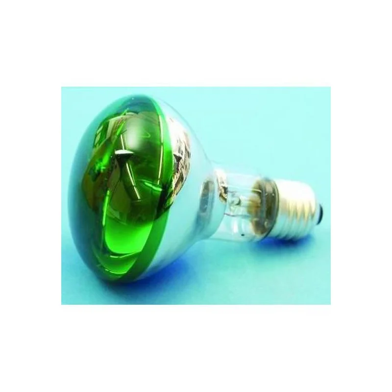 Meilleur Prix AMPOULE E27 60W VERTE