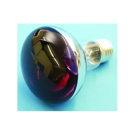 Expédition Rapide AMPOULE E27 60W VIOLET