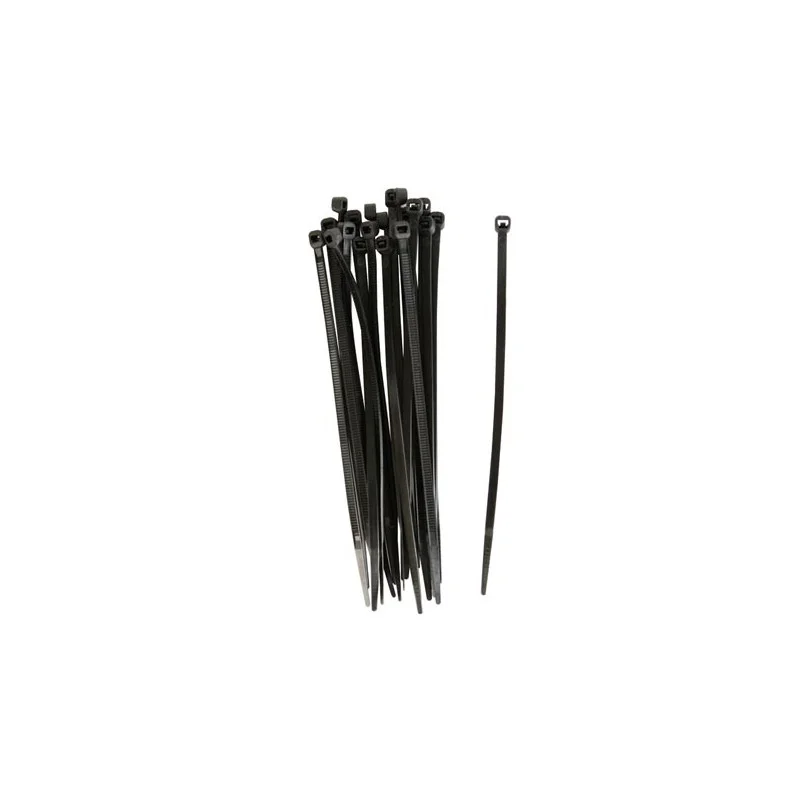 100 COLLIERS DE SERRAGE EN NYLON 2.5 x 100mm NOIR Meilleure Vente