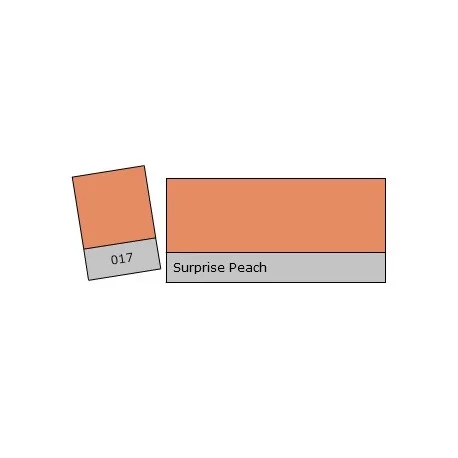 FEUILLE GELATINE 0.53 X 1.22M SURPRISE PEACH Authentique