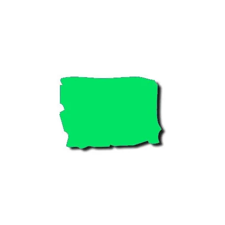 FEUILLE GELATINE 0.53 X 1.22M FERN GREEN LEE FILTERS Prix Réduit