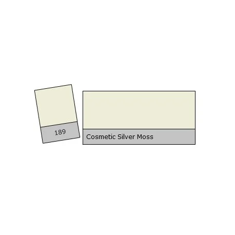 FEUILLE GELATINE 0.53 X 1.22M COSMETIC SILVER MOSS Offre Exclusive