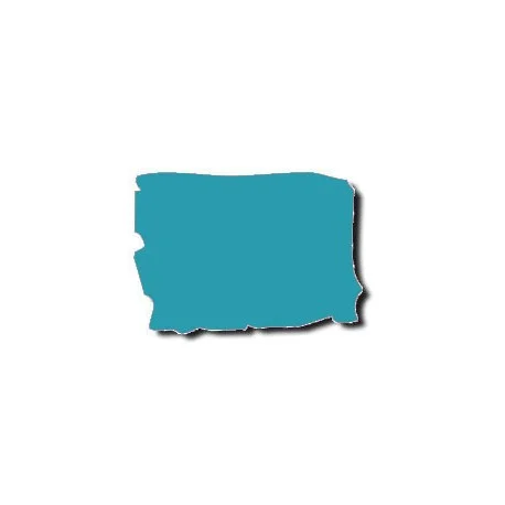 FEUILLE GELATINE 0.53 X 1.22M LEE FLUORESCENT 5700 K Offre Limitée
