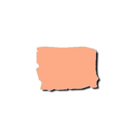 FEUILLE GELATINE 0.53 X 1.22M LEE MINUS GREEN Promotion Saisonnière