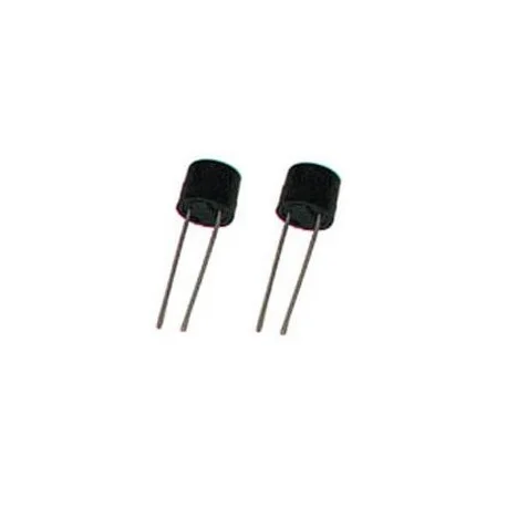 2 MICROFUSIBLES TEMPORISES 0.63A (6080) Dernière Chance