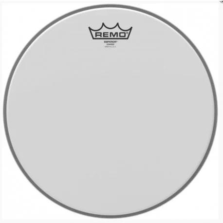 Certifié PEAU DE TOM 16" EMPEROR SABLEE REMO