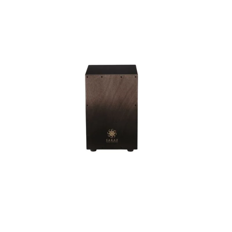 CAJON SAKAE CAJ100-BKFD Offre Du Jour