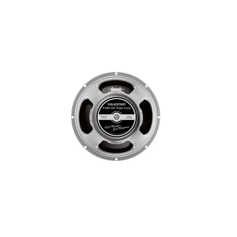 Meilleur Choix HAUT PARLEUR GUITARE 150W 31CM CELESTION