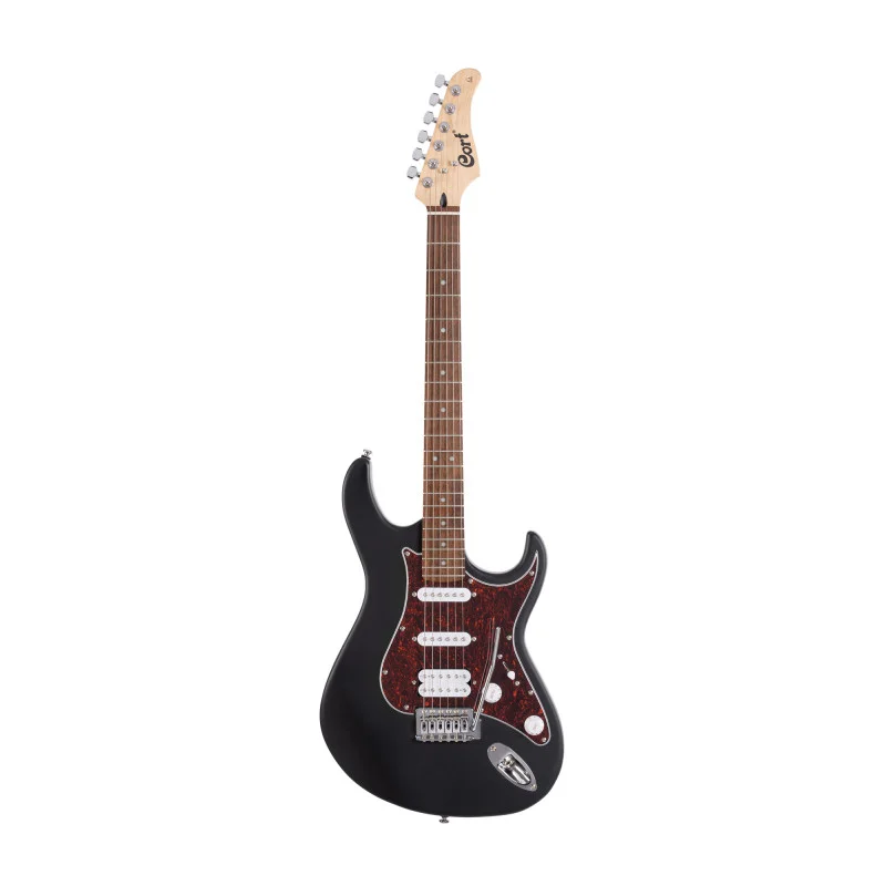 Commander Maintenant GUITARE CORT G110 NOIR PORES OUVERTS