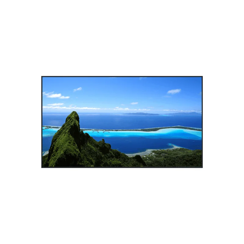 ECRAN PLAT LCD 4K UHD 98" (249CM) PANASONIC Certifié