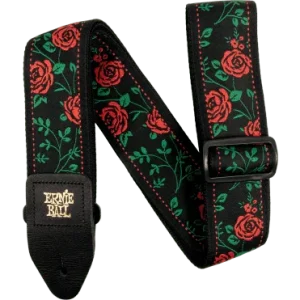 Prix Cassé 5318 Ernie Ball