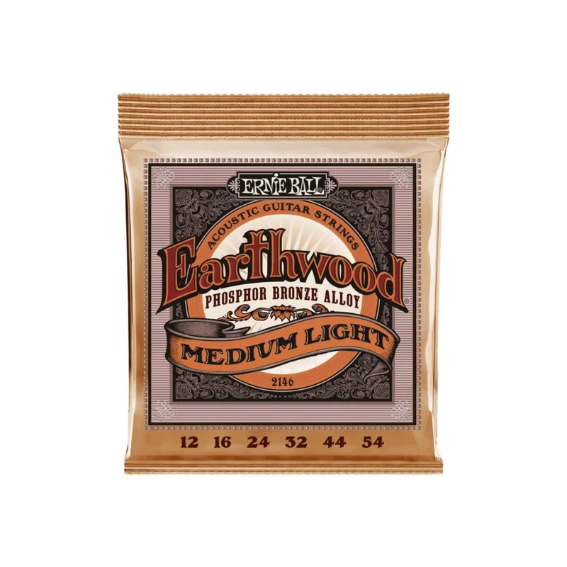 EARTHWOODMEDIUM LIGHT 12-54 Ernie Ball Authentique
