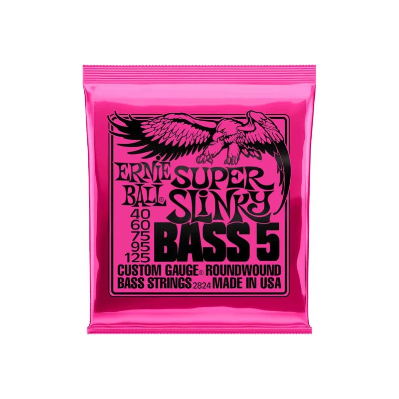 Meilleure Vente SUPER SLINKY BASS 5 CORDES 45-125 Ernie Ball