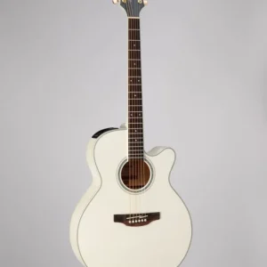 GN37CE-PW Takamine Réduction
