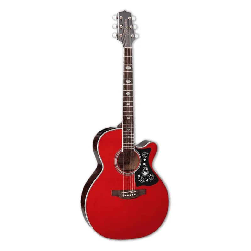 GN75CEWR Takamine Vente Flash