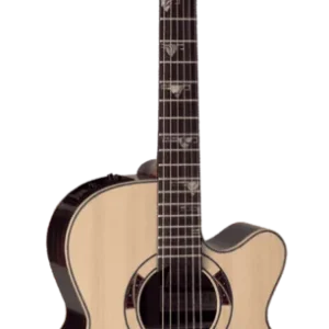 Produit De Marque DSF48C Takamine