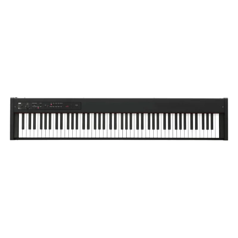 D1 BLACK Korg Haute Qualité