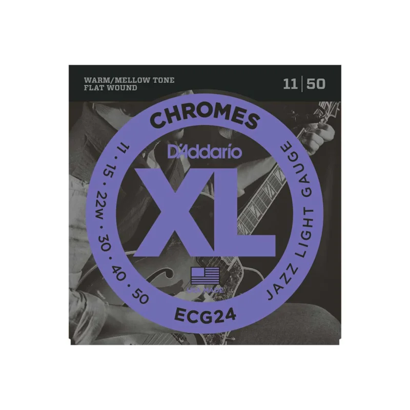 Usine Directe ECG24 D’Addario