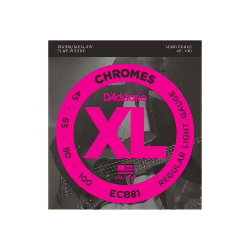 ECB81 45-100 D’Addario Paiement Sécurisé