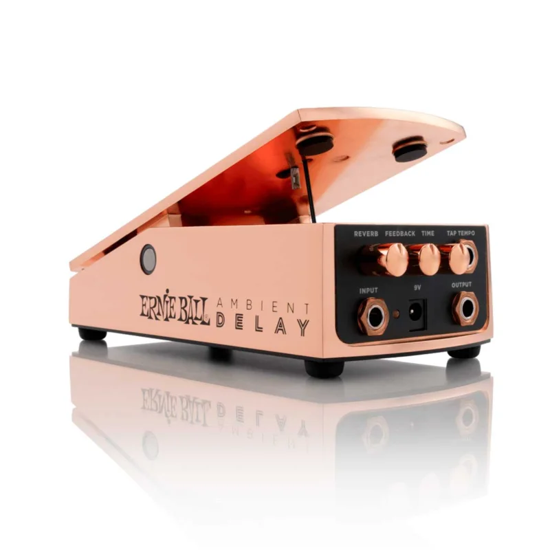 AMBIENT DELAY Ernie Ball Expédition Rapide