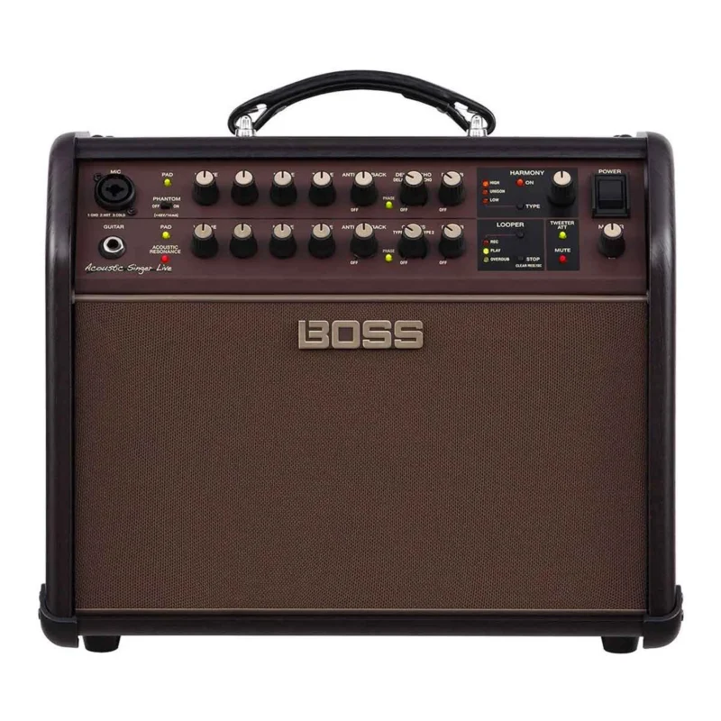 ACS-LIVELT Acoustic Singer Live LT 60-Watt 1×6.5″ Bon Plan
