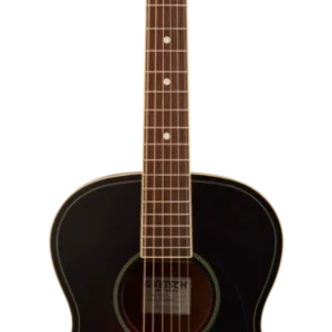 JIM DANDY CONCERT DCB Gretsch Prix Cassé