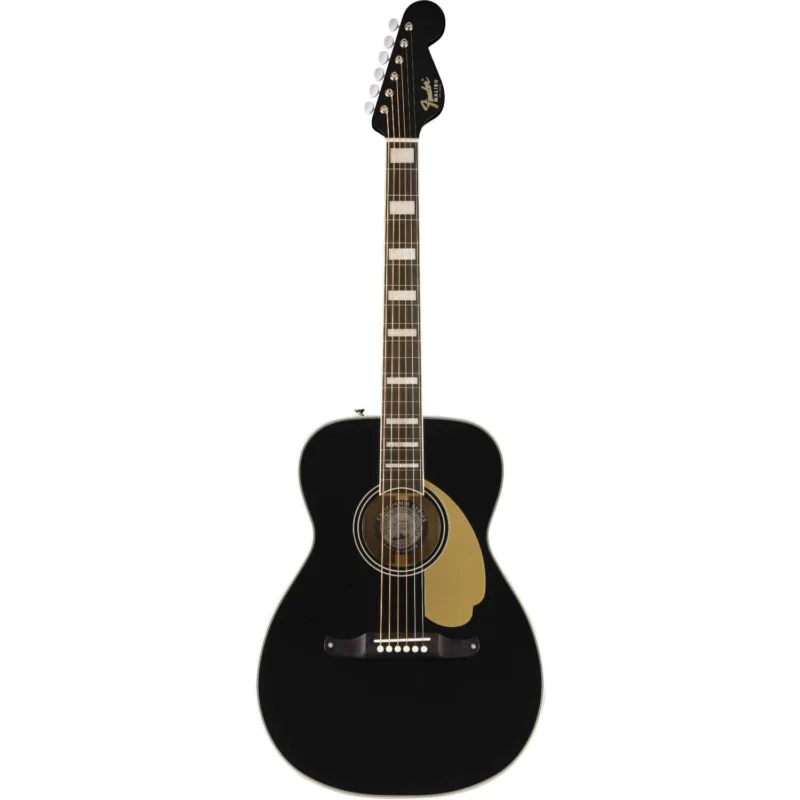 Paiement Sécurisé FENDER MALIBU VINTAGE BLK Fender