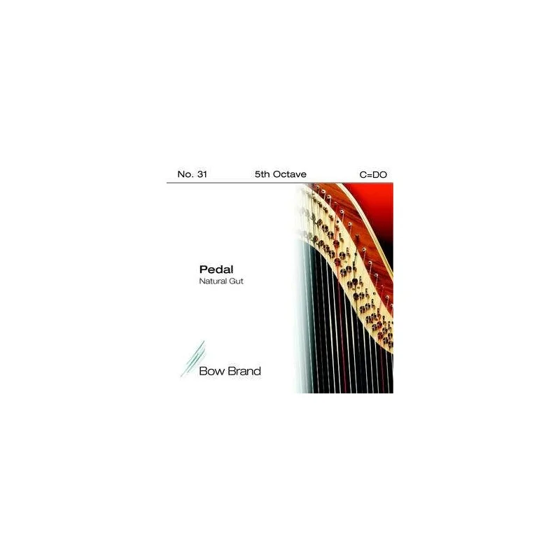 Offre Spéciale C - DO 31 octave 5 boyau
