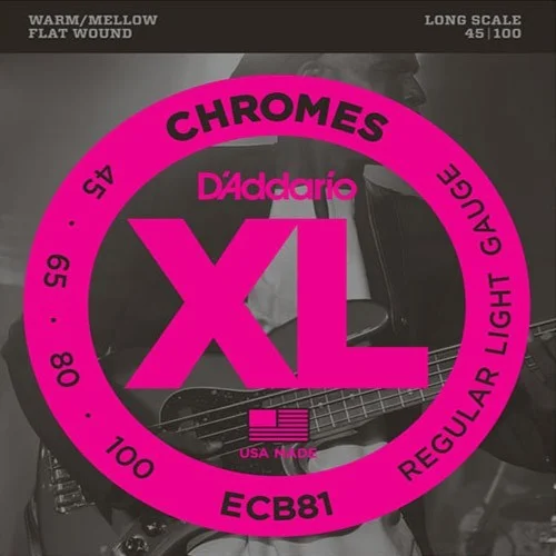 Must-Have D‘Addario ECB81 tension light